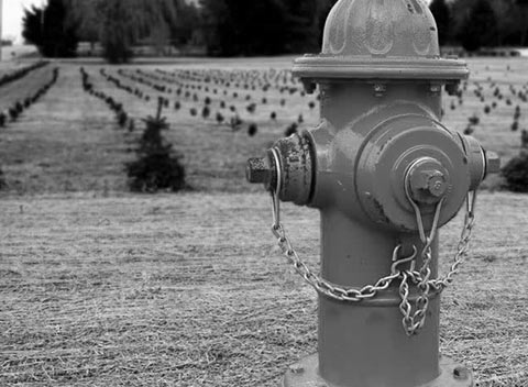 免费ddos平台攻击